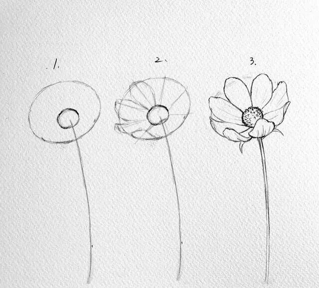 画花怎么才能画好看呢,教大家一个画花技巧