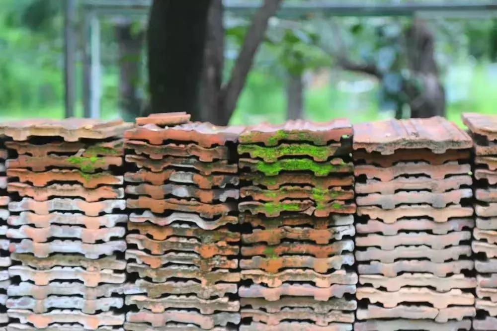 明十三陵康陵历史厚重感,探访明十三陵未开放的陵墓