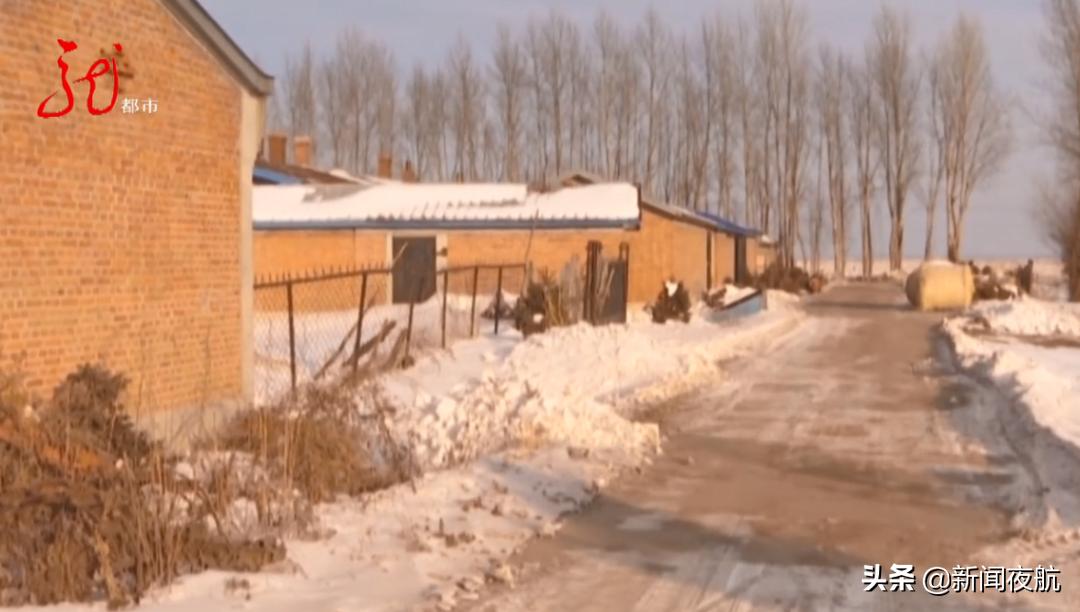 土地补贴多少钱一亩,土地补贴几块钱