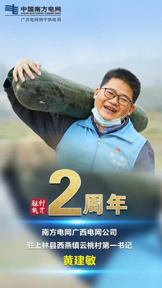 国网辽宁电力扶贫带货,电力扶贫带货记