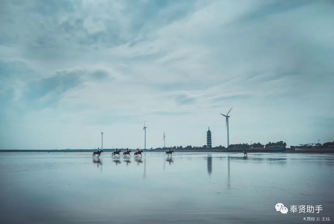 奉贤区南桥镇旅游景点,上海奉贤景点推荐一日游最佳路线