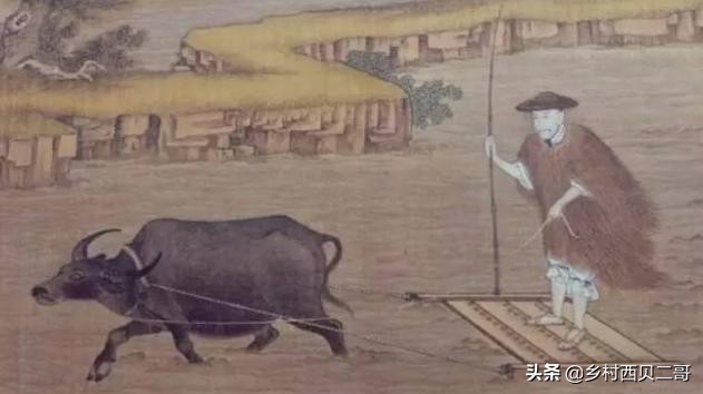 老人八十多总害怕,老人为什么怕七十三八十四