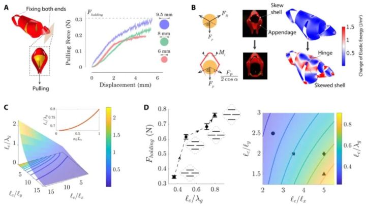 中国科学家研究纳米机器人,中国科学家团队发明的机器人