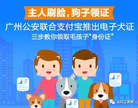 中国石油加油站有几种支付方式,中国石油银联二维码支付步骤