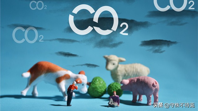 十个令人震惊的冷知识,史上最真实的冷知识