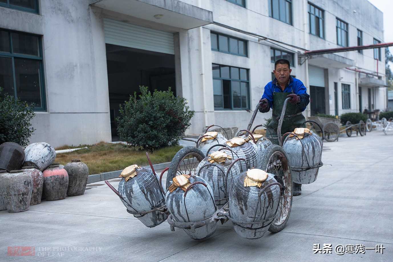 酒厂酿酒技术大全,台州酒厂手酿酒