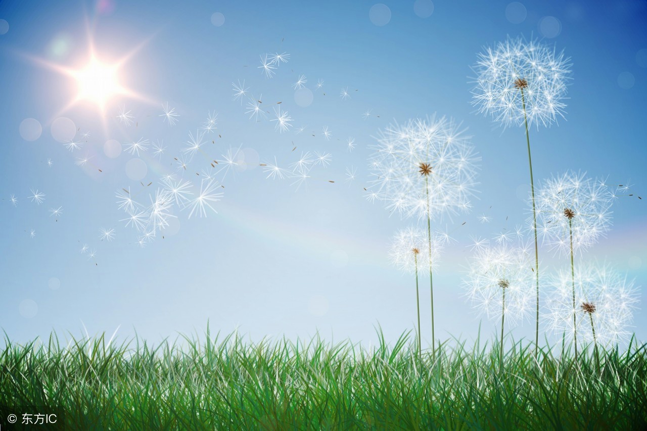 当孩子的要求得不到满足发脾气,孩子的愿望没有实现怎么安慰