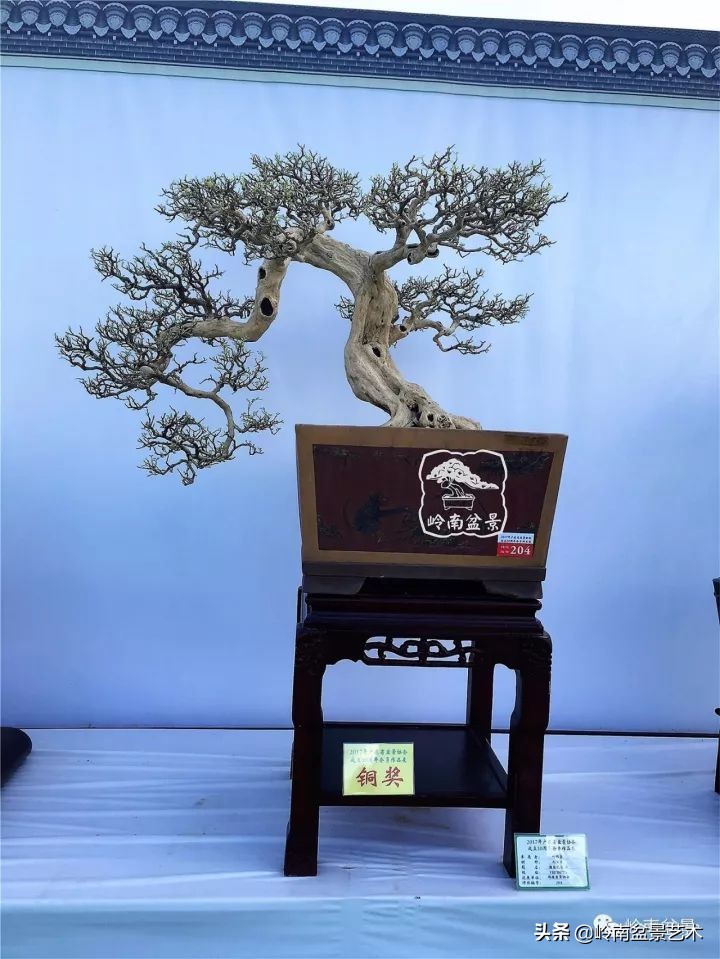 骞哥涔呬箙鐢滅敎铚滆湝,骞哥涔呬箙