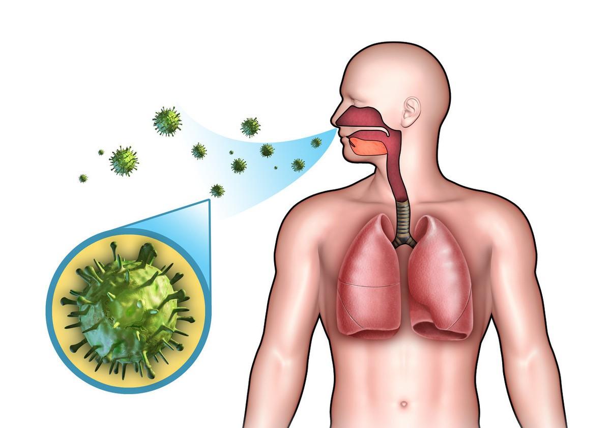 感冒好后咳嗽要多久才会好,以前感冒不咳嗽现在感冒总咳嗽