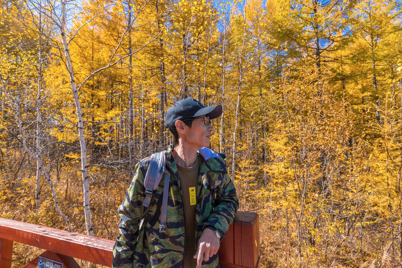 哈尔滨满洲里自驾路线,哈尔滨满洲里自驾视频