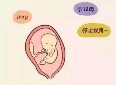 专题科普:怀孕那些事(二)