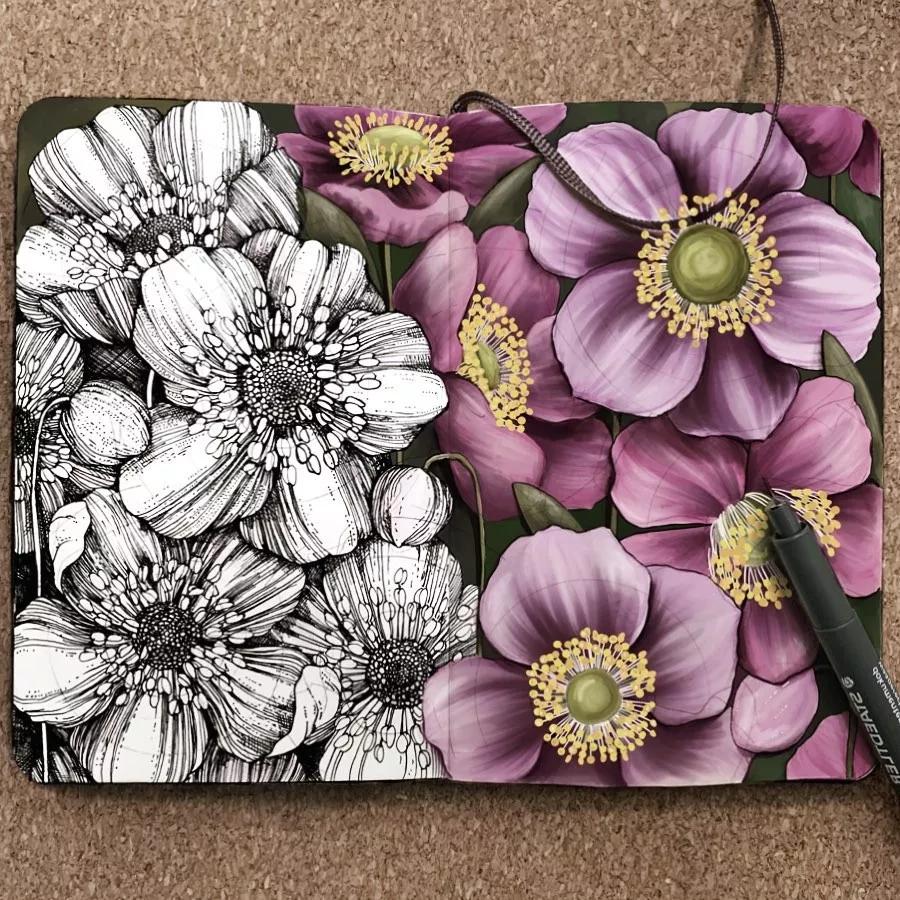 一看就懂的针管简笔画,针管笔入门手绘1000例临摹图