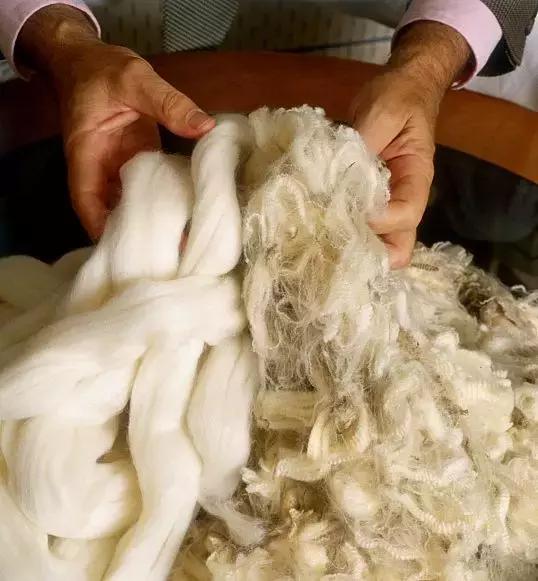 100010000区别,5000大衣和1000大衣区别