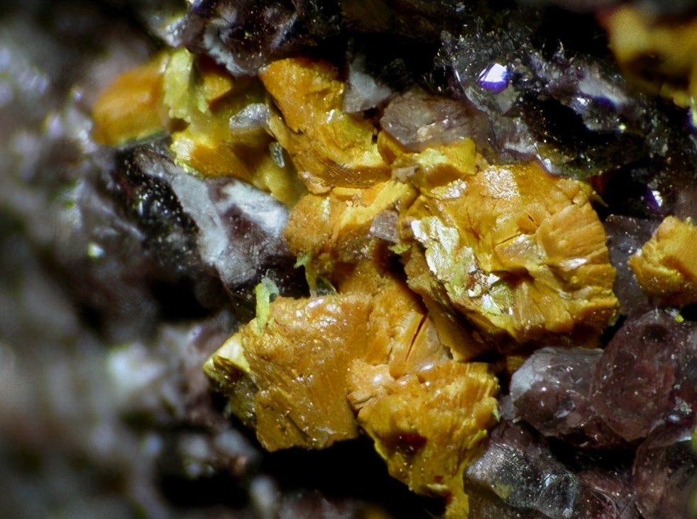 老科学家讲述中国核武器研究历程,中国第一个核武器的研究时间