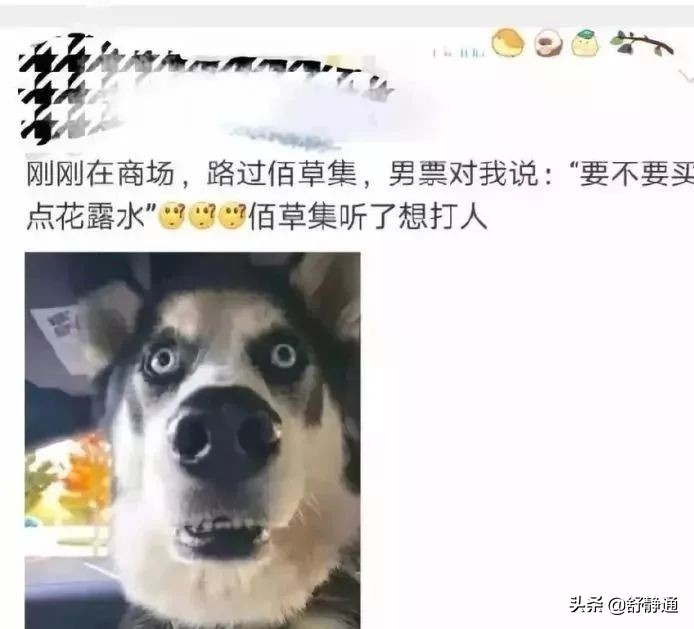 男朋友敷面膜的正确方法 (男朋友第一次敷面膜没有经验)