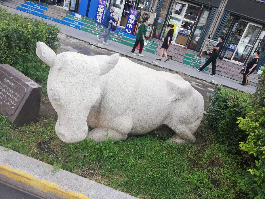 黑龙江通高铁的地级城市,黑龙江通高铁的城市