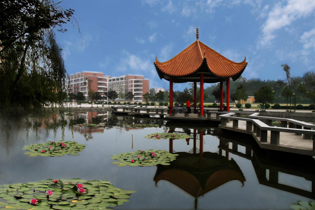 师范类就业前景好的专业排名,汉语言文学专业师范类的就业前景