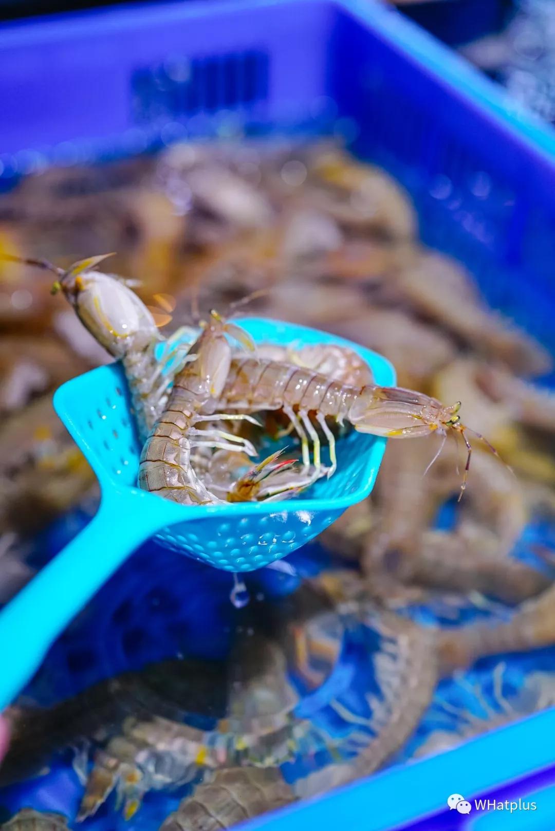 在超市寻宝任务,商场寻宝攻略