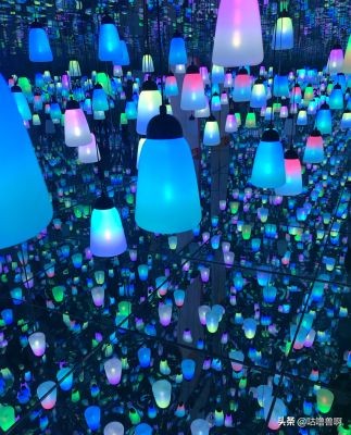 带你发现上海超治愈打卡地,上海人不会推荐的地方