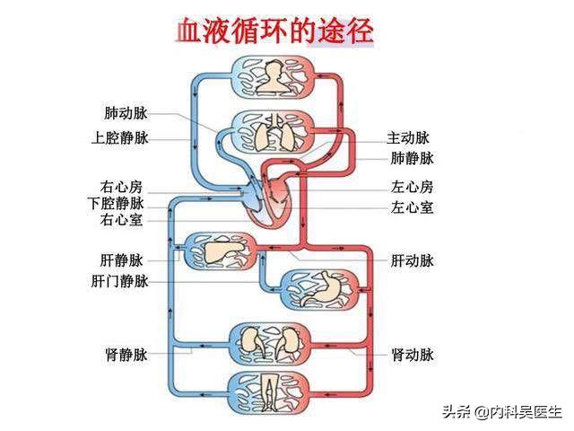 心衰患者做好以下“五点”,可以大大减轻水肿、呼吸困难等症状