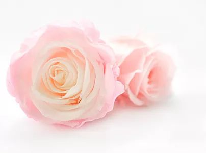 李雯年轻时照片,李玟歌手最新消息