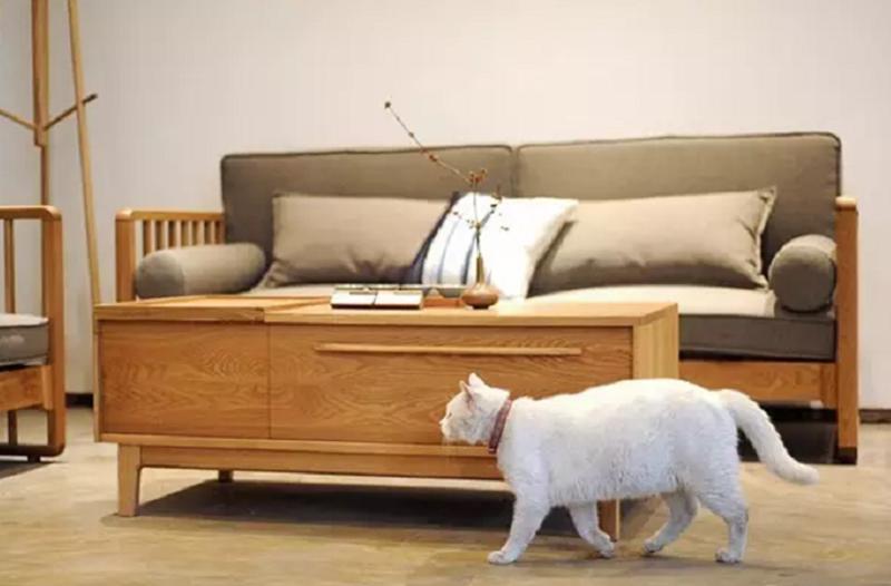 家里容易落灰看起来不整洁,家里不容易落灰的办法