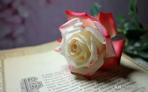 初中语文病句修改及答案,小学语文病句大全及答案