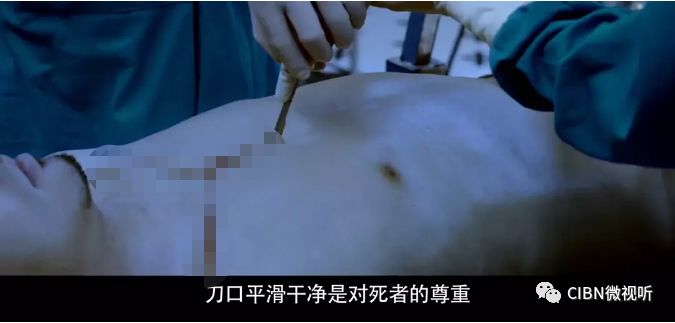 法医秦明删减片段,法医秦明1高清无删减版在线观看