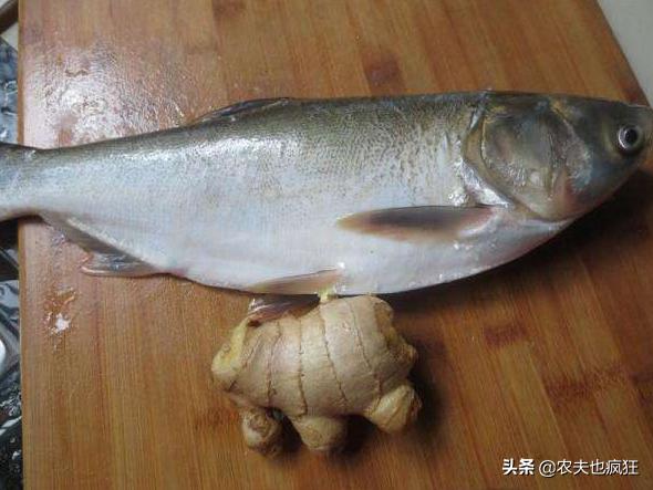 鲢鱼是“四大家鱼”之一，味道鲜美，为什么农村人不爱吃鲢鱼了？