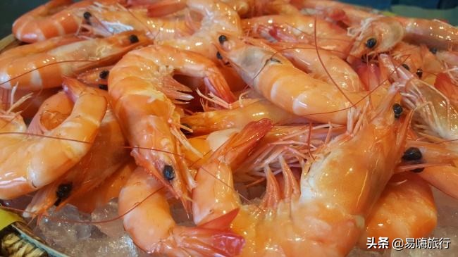 天津周边踏春好地方,天津一日游踏春路线