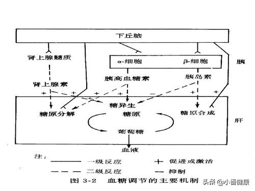 乙肝大三阳症状肝区疼痛,乙肝大三阳转变肝硬化的症状
