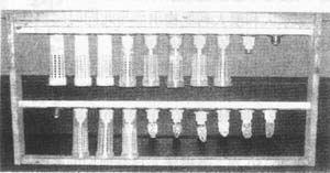 养蜜蜂收集蜜,蜜蜂怎么养出蜂王