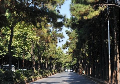 武汉适合骑行绿道公园有哪些,武汉东湖绿道自驾游攻略