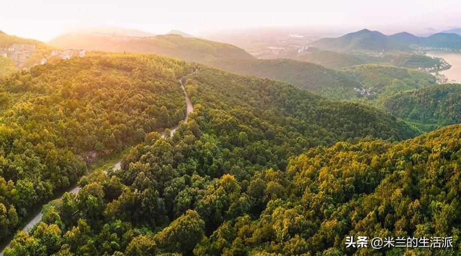 森林养生基地一览表,森林公园养生胜地