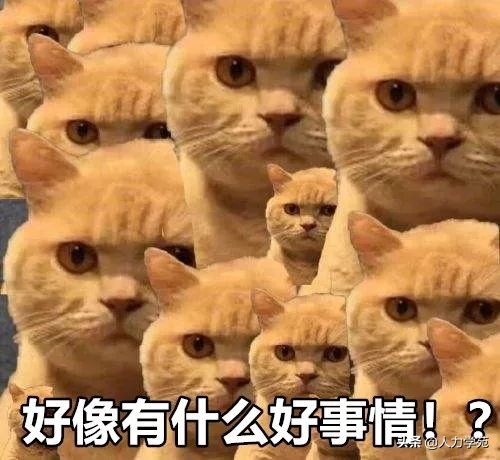 女性年满50岁还能领4050补贴吗,灵活就业人员能领4050社保补贴吗