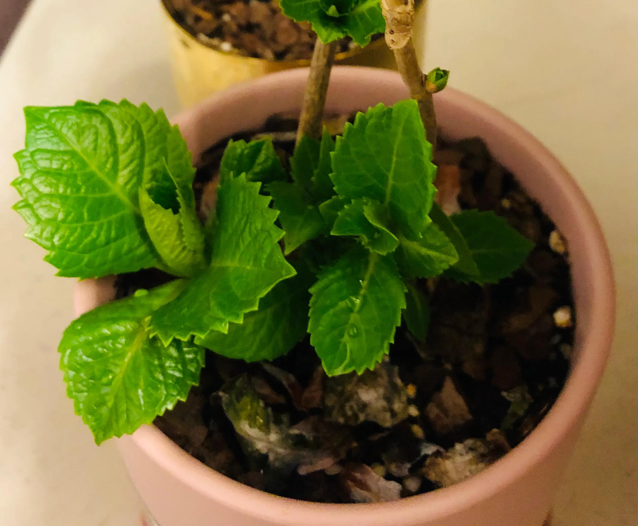 信念系统是潜意识吗,重塑潜意识信念系统