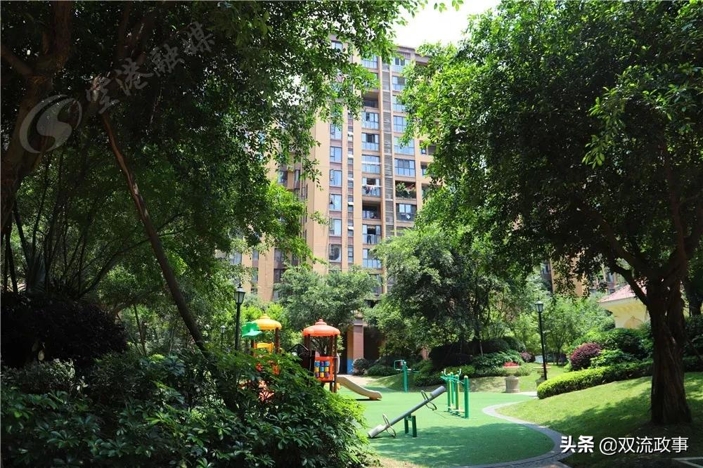 成都双流怎样,你怎么那么绿是什么梗