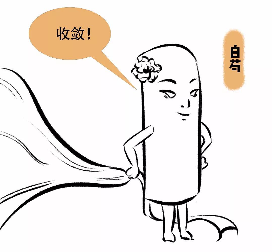 女人最好喝的四物汤,女士四物汤包含什么