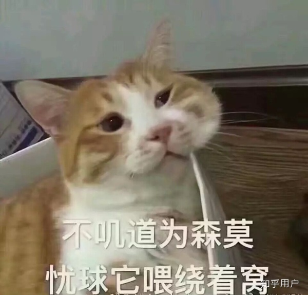 图文并茂网恋第一次见面