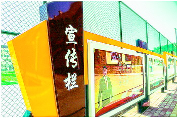 学一“技”之长什么人可享补贴？钟鸣宇这个体育老师不简单