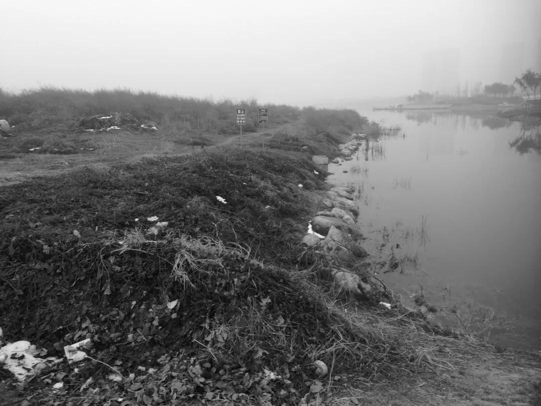 郑州市郑东新区花卉园林景观区,郑东新区象湖景观绿化工程