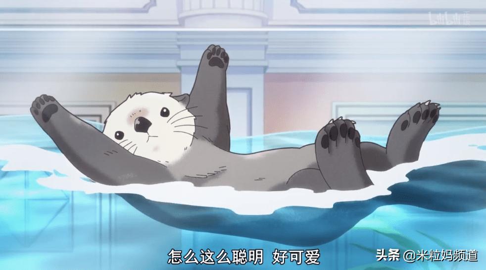 年度惊喜电影,8部科普必看的动画片