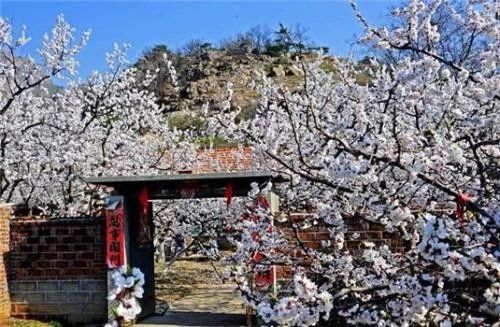 让你流连忘返的景点,东港市美景