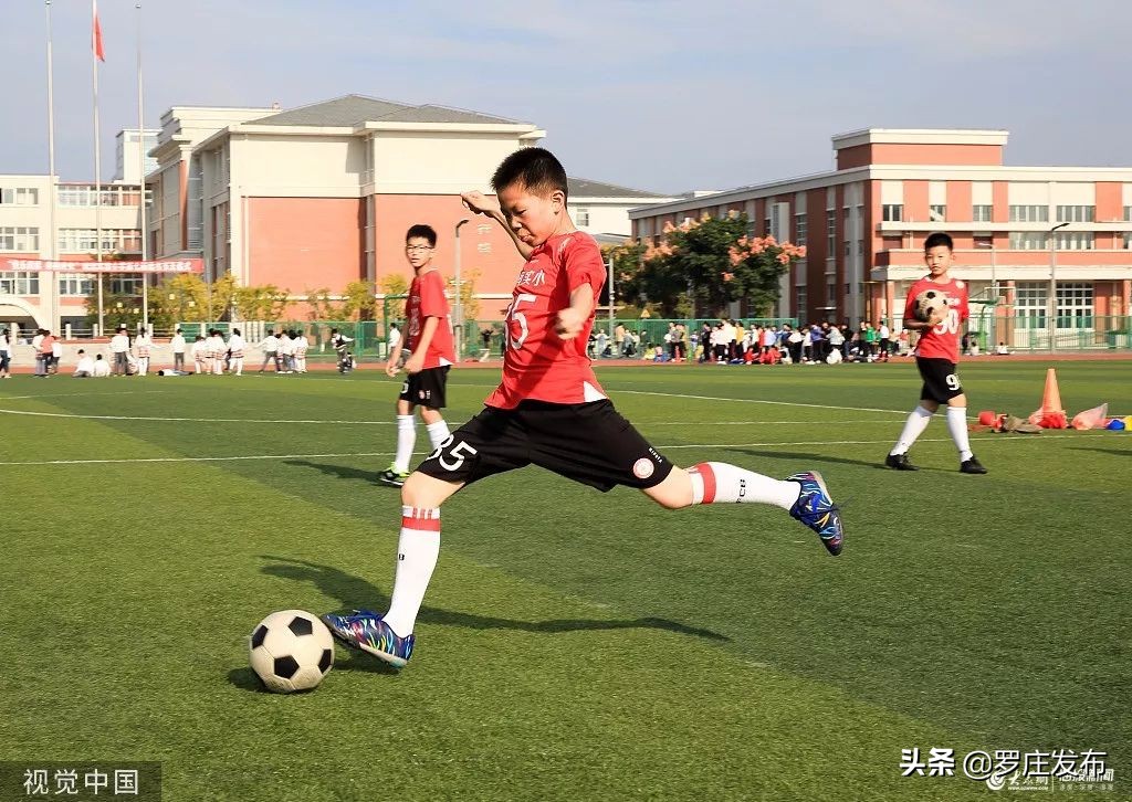 罗庄学校名录,罗庄公办学校排名榜