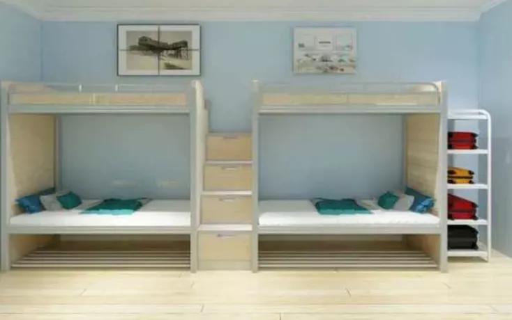 郑州2020中考省重点高中分数线,郑州各高中中招录取线