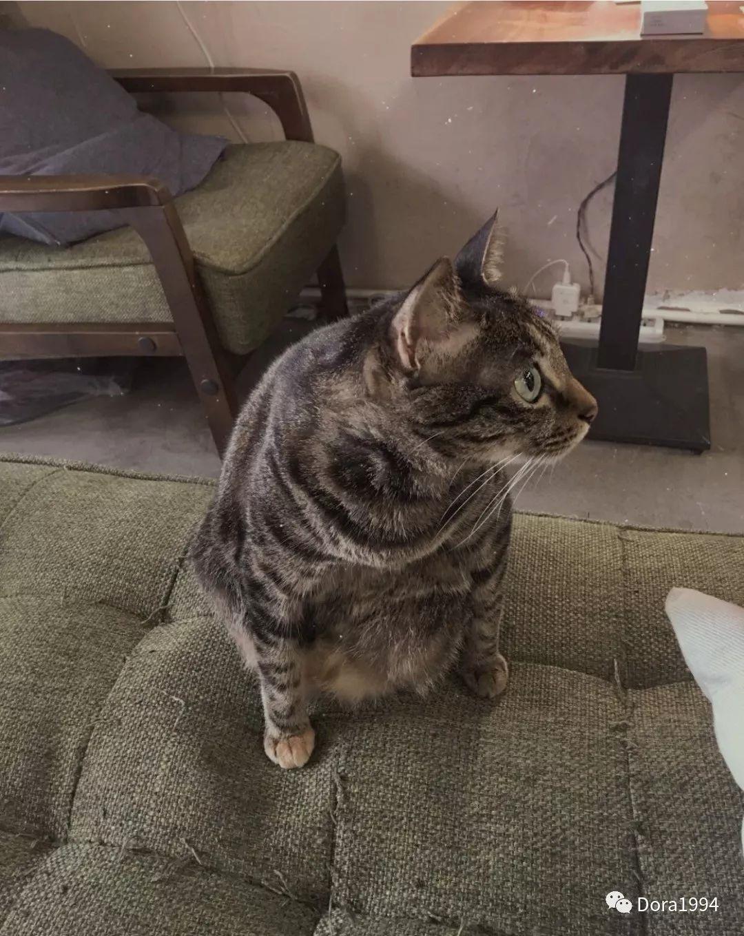 深圳适合放松的咖啡厅,深圳适合一个人打卡拍照的咖啡厅