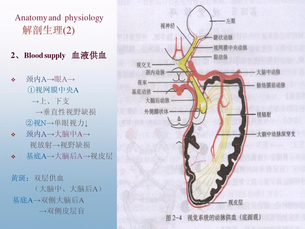 鞍结节脑膜瘤误诊为垂体瘤,鞍结节脑膜瘤发病原因