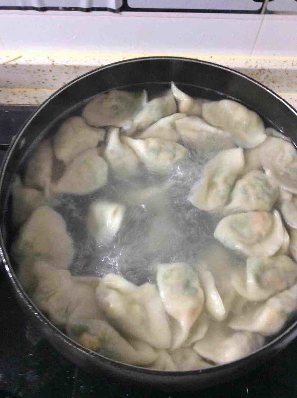 春天用什么菜包饺子好吃,这季节肉和啥菜包饺子好吃