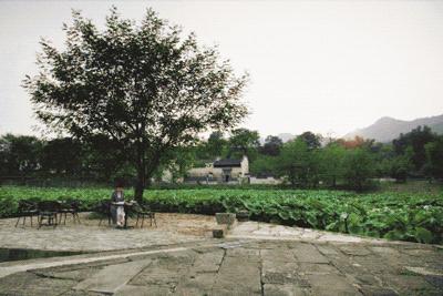 疫情解封后报复性消费的行业,疫情之后会出现消费狂潮么