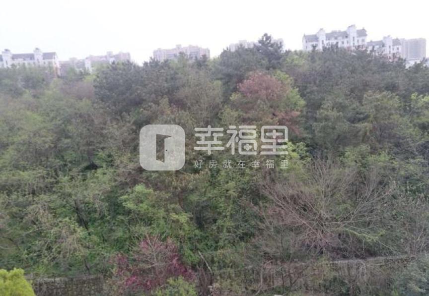 南京麒麟老镇的新房值得买吗,南京麒麟区哪里的房子值得购买